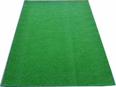 Artificial Grass (1)